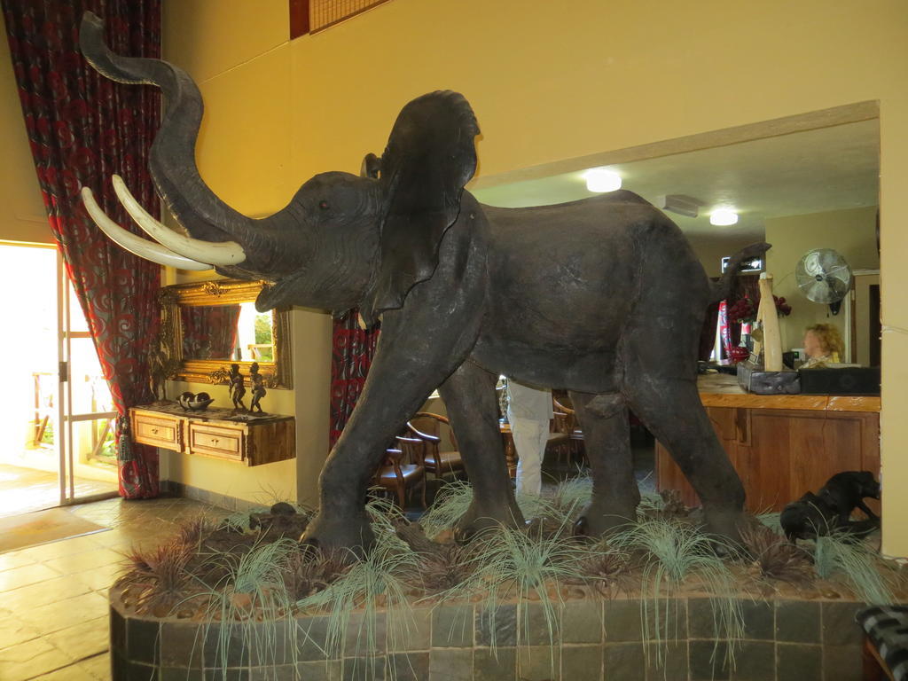 Ivory Tusk Lodge ツァニーン エクステリア 写真